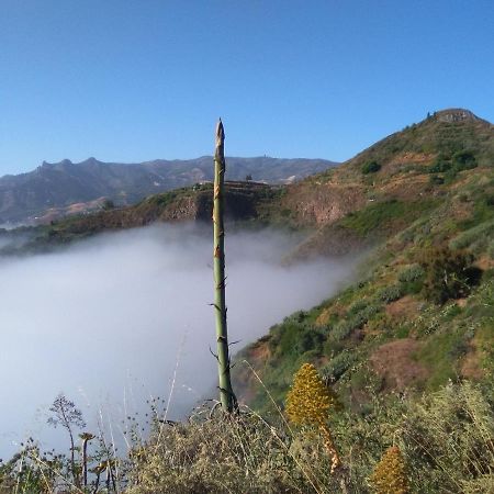 Mar De Flores 维加-德圣马特奥 外观 照片